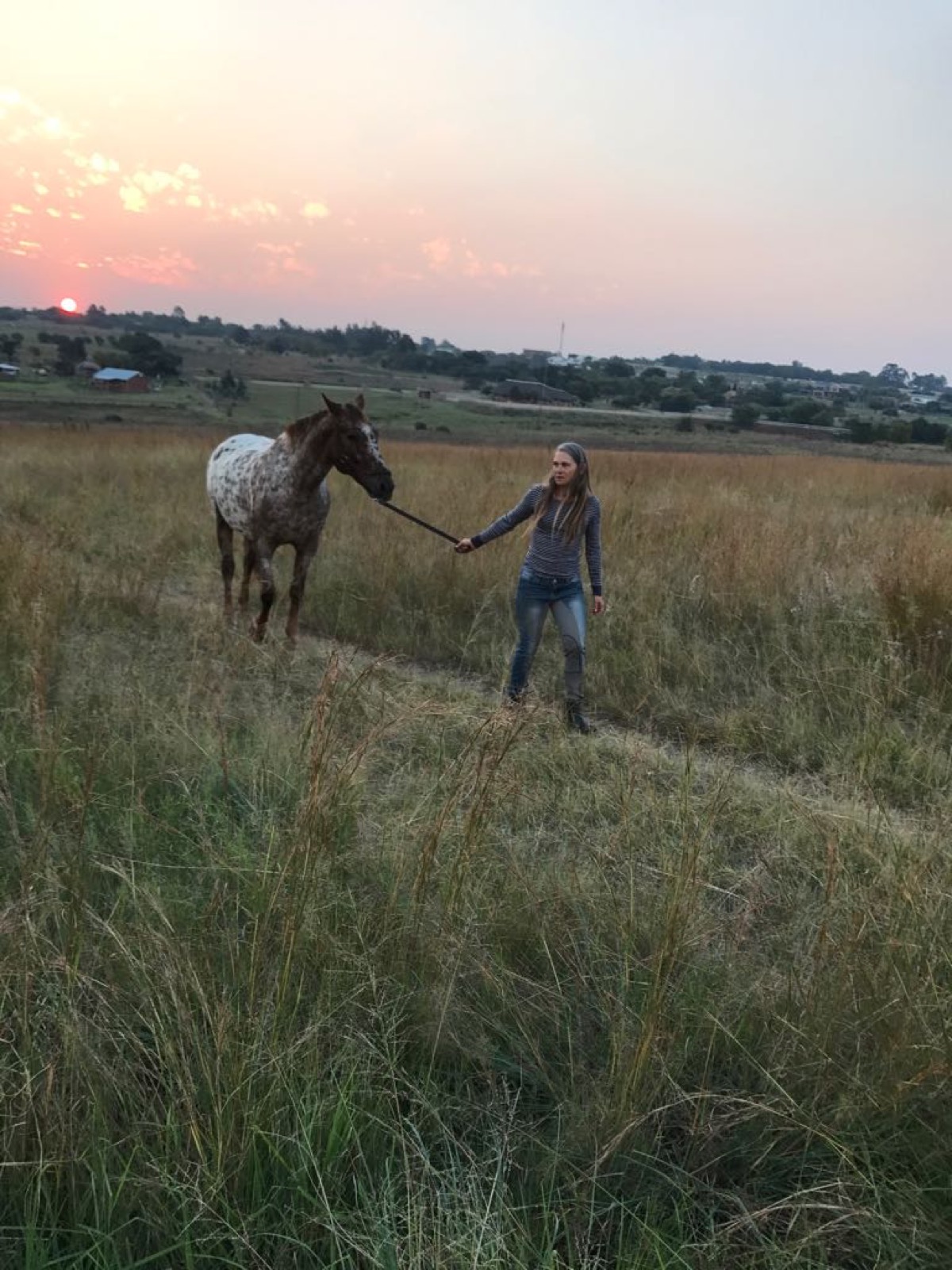 Walking Red at sunset
