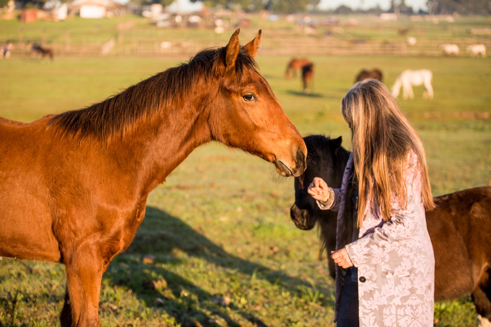 Ruby Moon and Lucky Luke