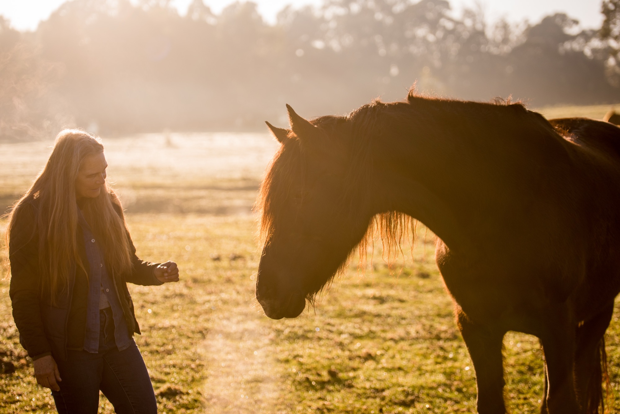 Germaine and Flikker in low golden light