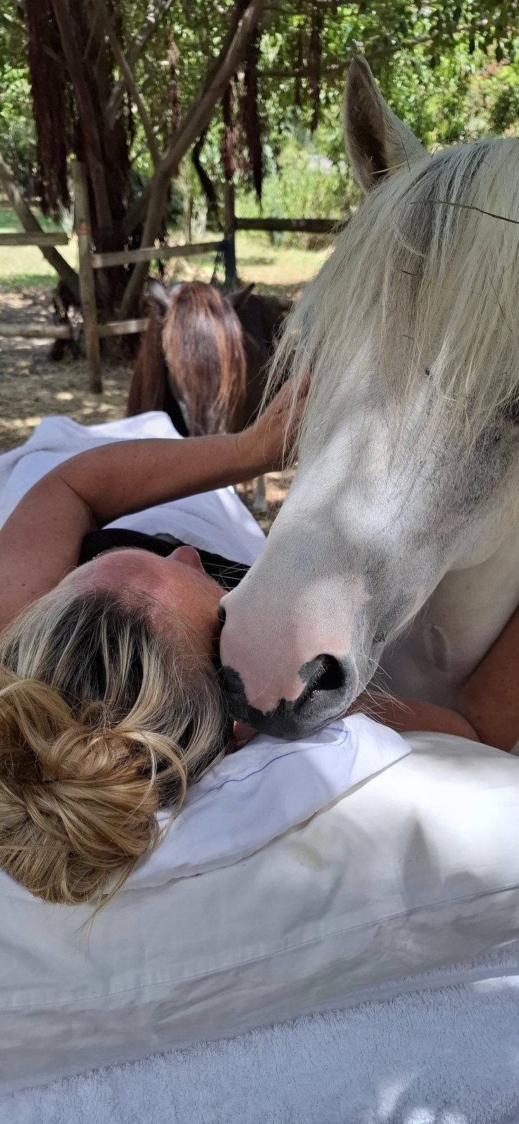 A horse reaching down toward a person during a session